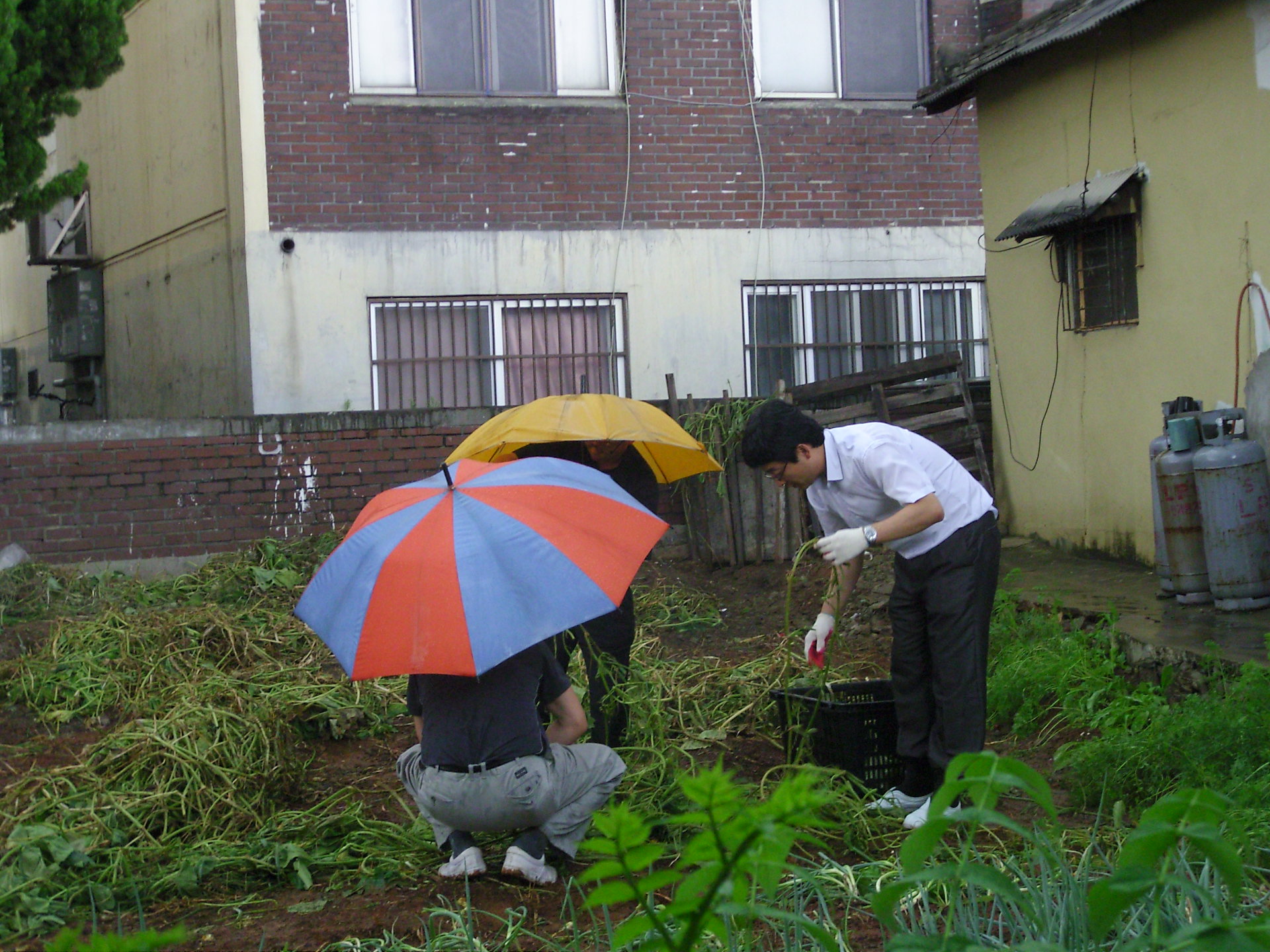 [교육미디어실] 2010...