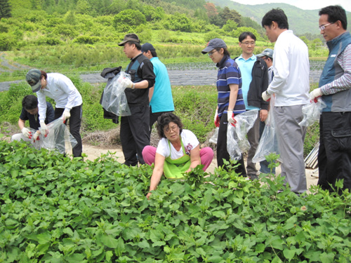 노사 공동 자매결연마을(...