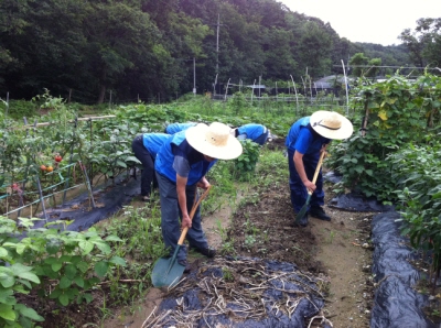 [다시뛰는 경기북부!]집...