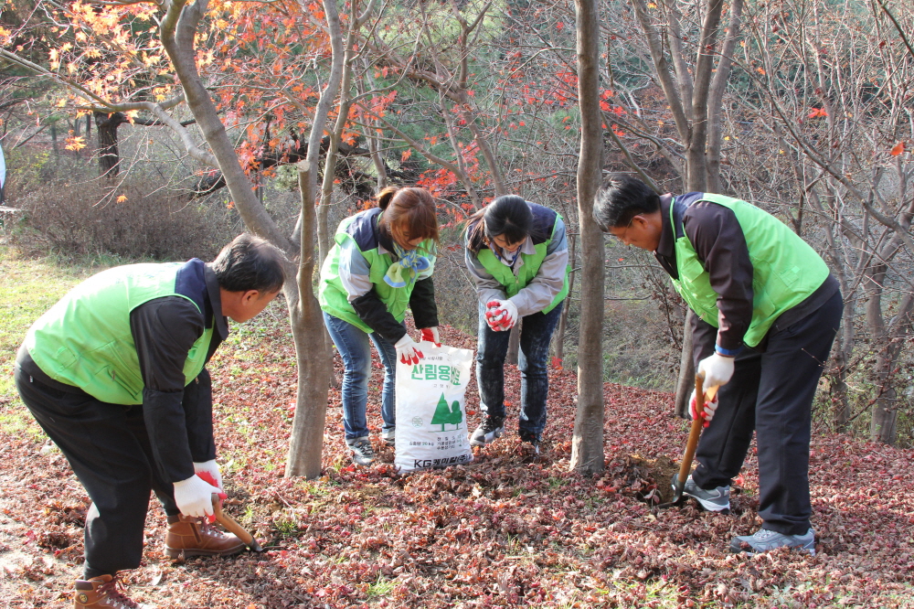 [OK!충북] 숲가꾸기 ...