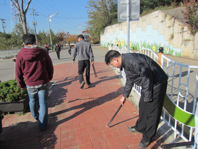 친환경 봉사활동