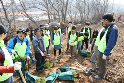 [센터권]기관 합동 나무...