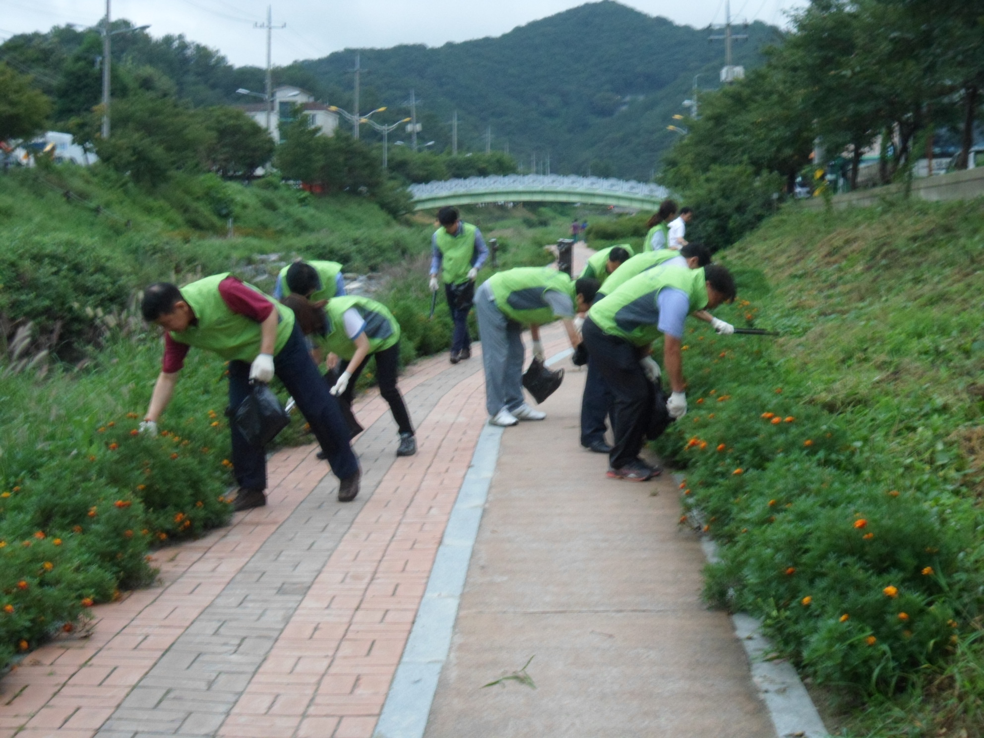 [전북] 환경정화 활동 ...