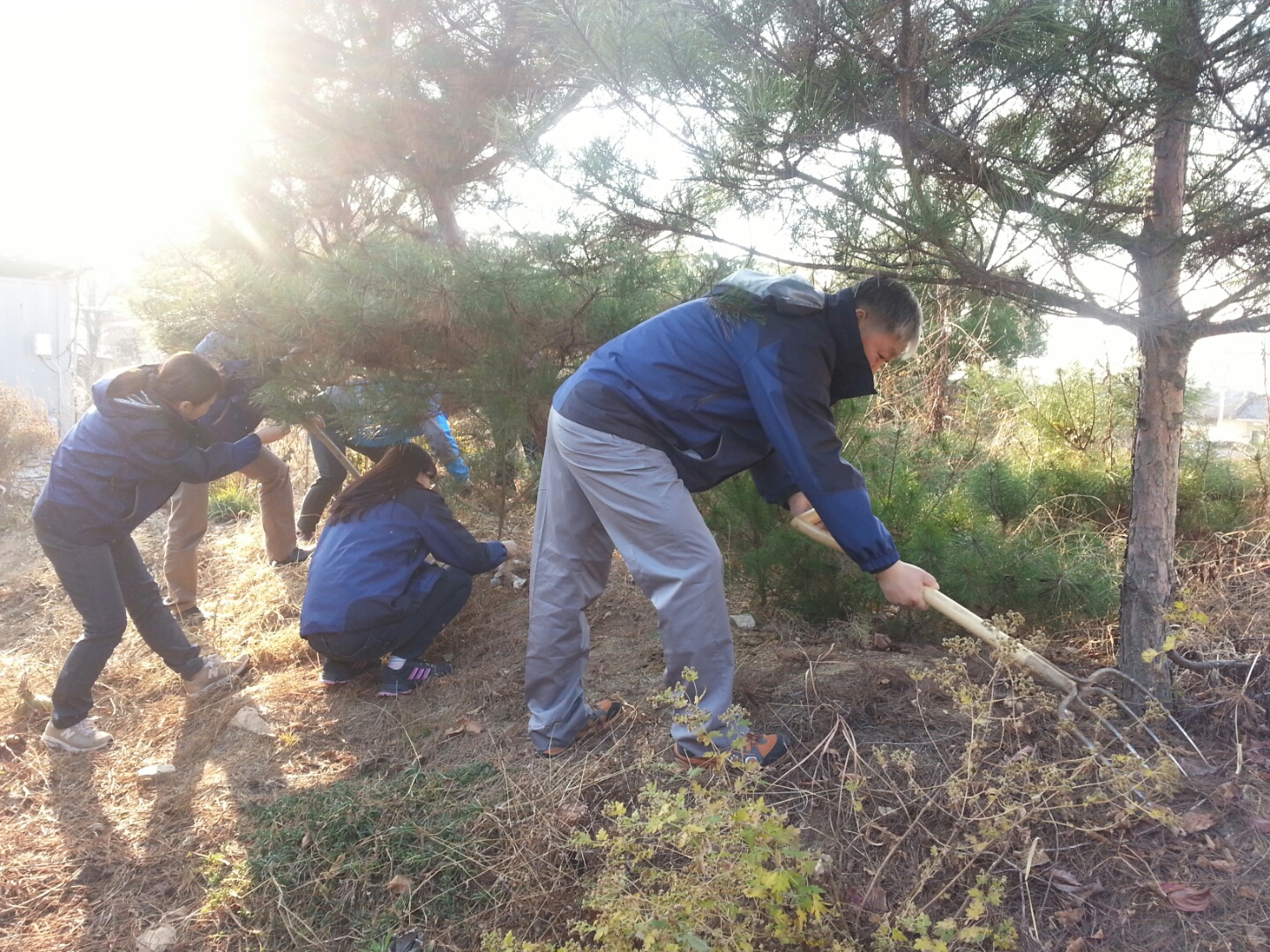 (대구서부) 숲가꾸기 행...