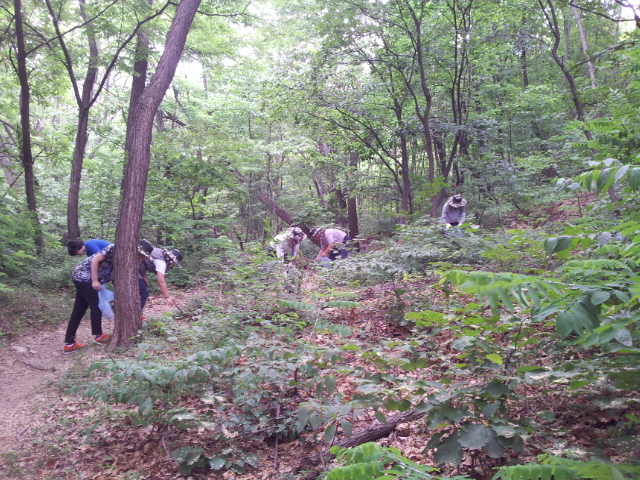 [중부본부]성주산 환경정...