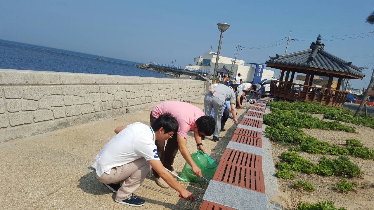 정자항 일대 환경미화 활동