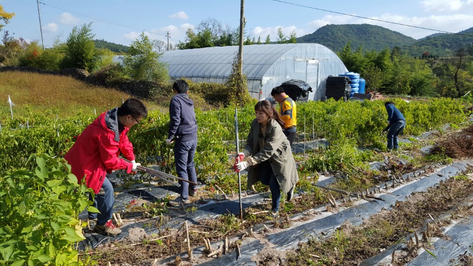 [안전℃ 광주]  201...