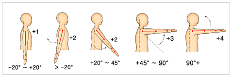 윗팔(upper arm)의 위치에 대한 평가